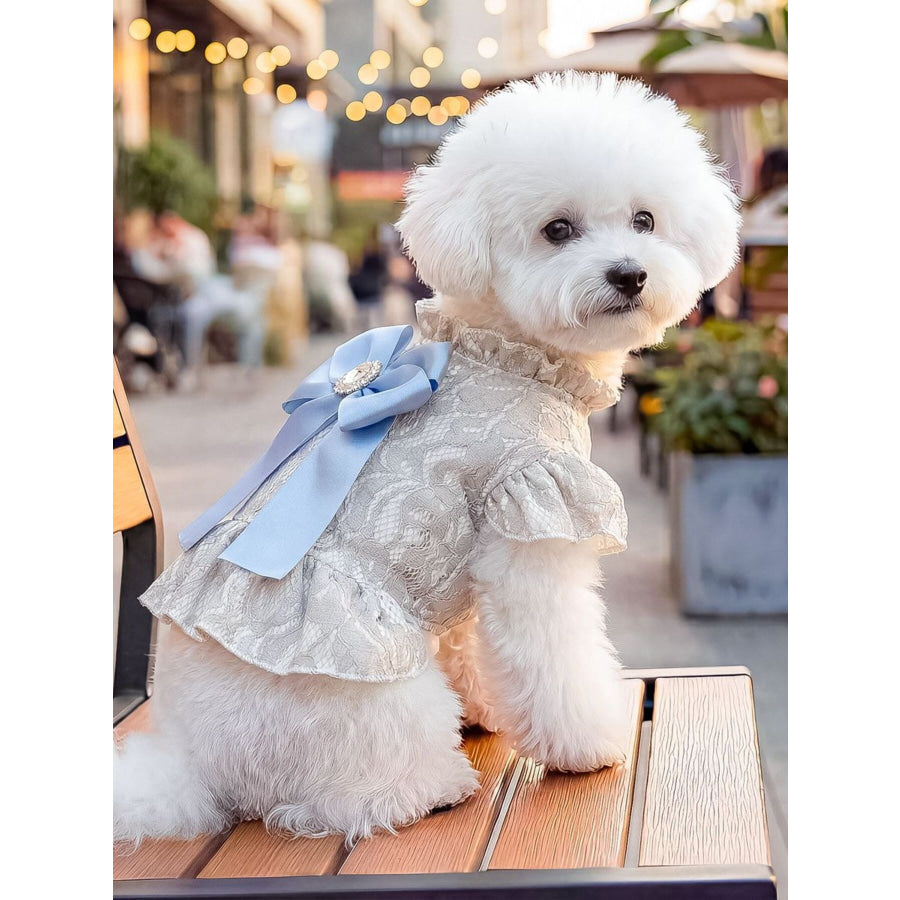 Ruffled Pet Dress with Bow Blue / XS Apparel and Accessories