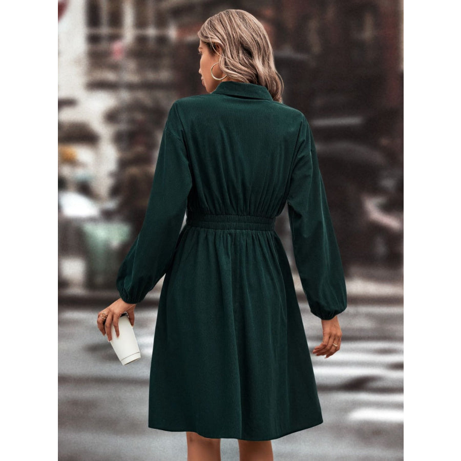 Smocked Johnny Collar Long Sleeve Dress Apparel and Accessories