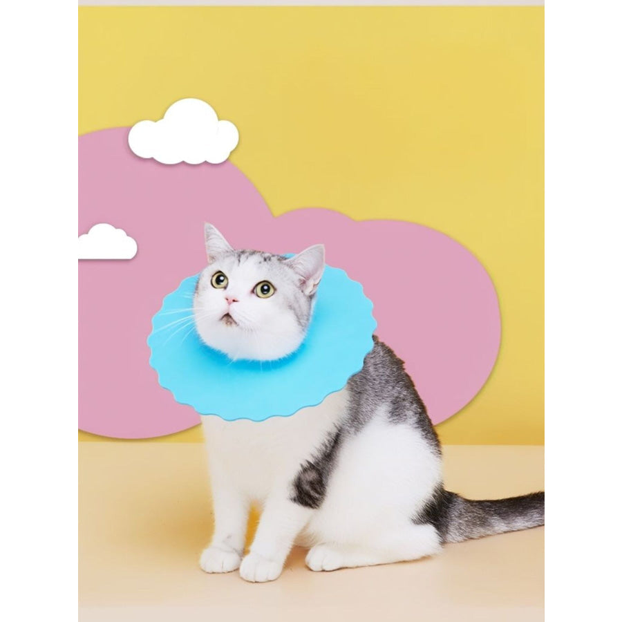 Soft Edge Pet Collar Light Blue / S Apparel and Accessories