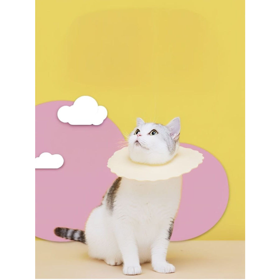 Soft Edge Pet Collar Light Yellow / S Apparel and Accessories