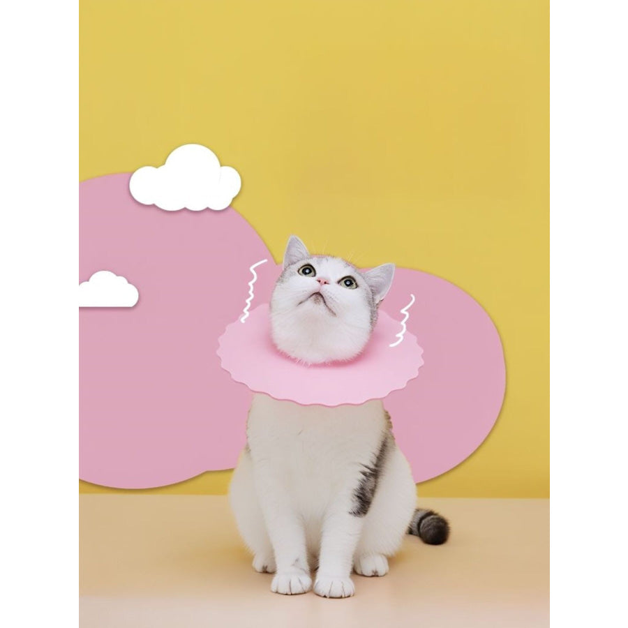 Soft Edge Pet Collar Pink / S Apparel and Accessories