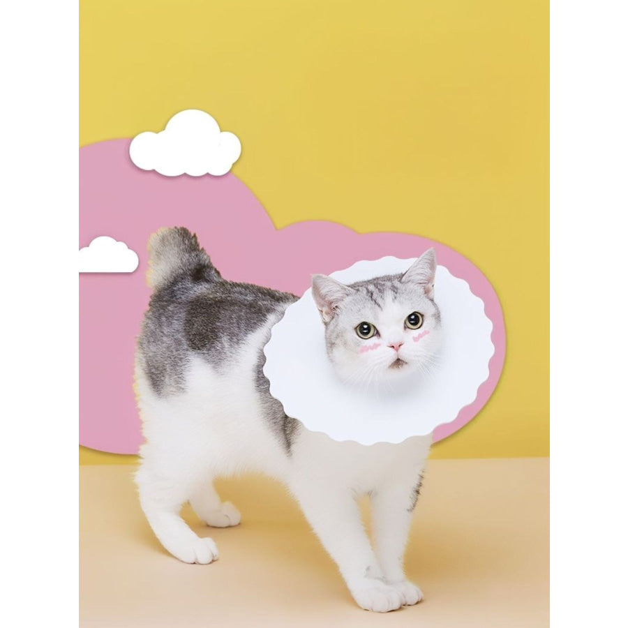 Soft Edge Pet Collar White / S Apparel and Accessories