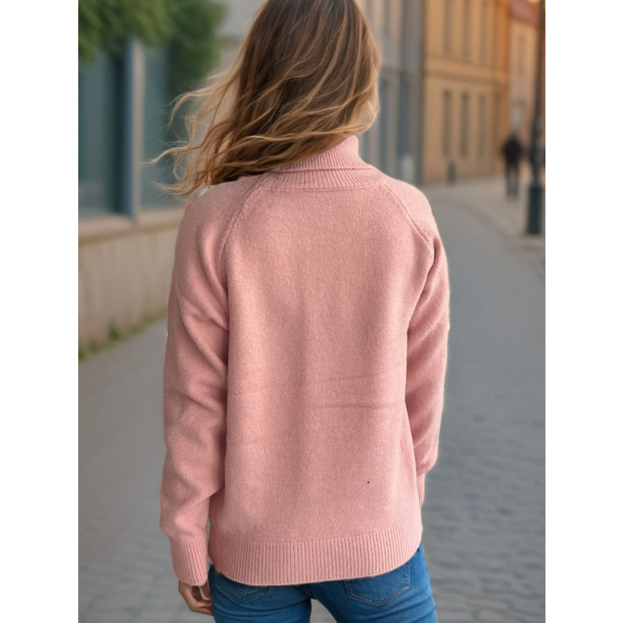 Solid Color Turtleneck Long Sleeve Sweater Apparel and Accessories