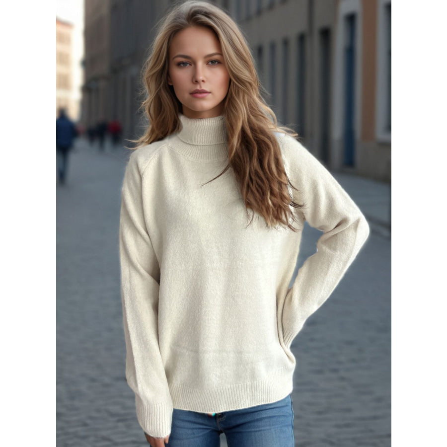 Solid Color Turtleneck Long Sleeve Sweater Apparel and Accessories