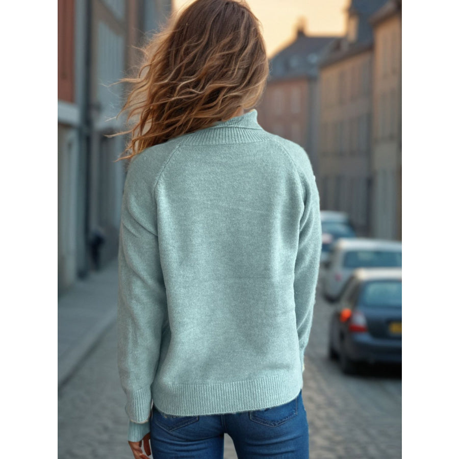 Solid Color Turtleneck Long Sleeve Sweater Apparel and Accessories