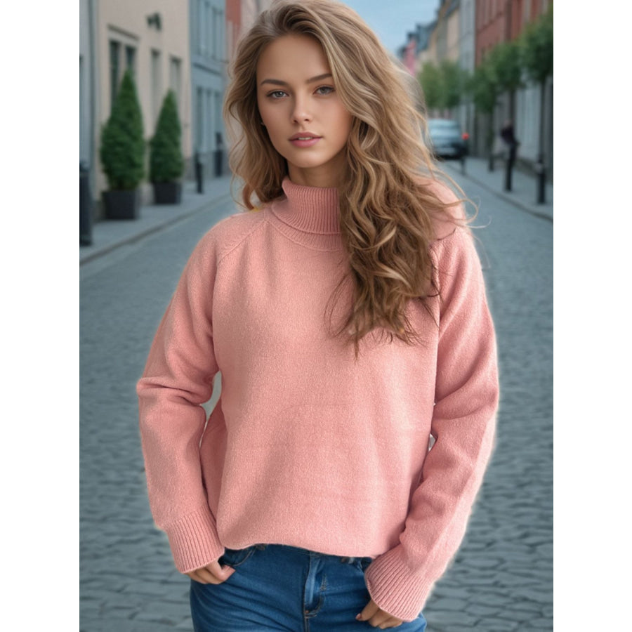 Solid Color Turtleneck Long Sleeve Sweater Apparel and Accessories