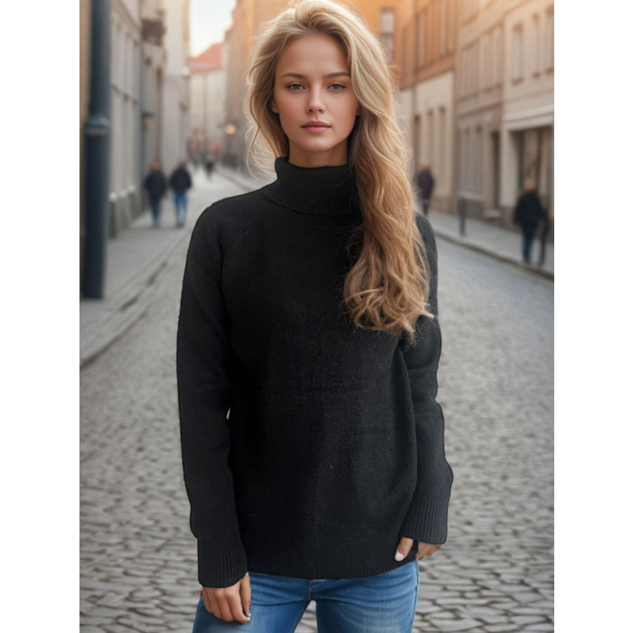 Solid Color Turtleneck Long Sleeve Sweater Apparel and Accessories