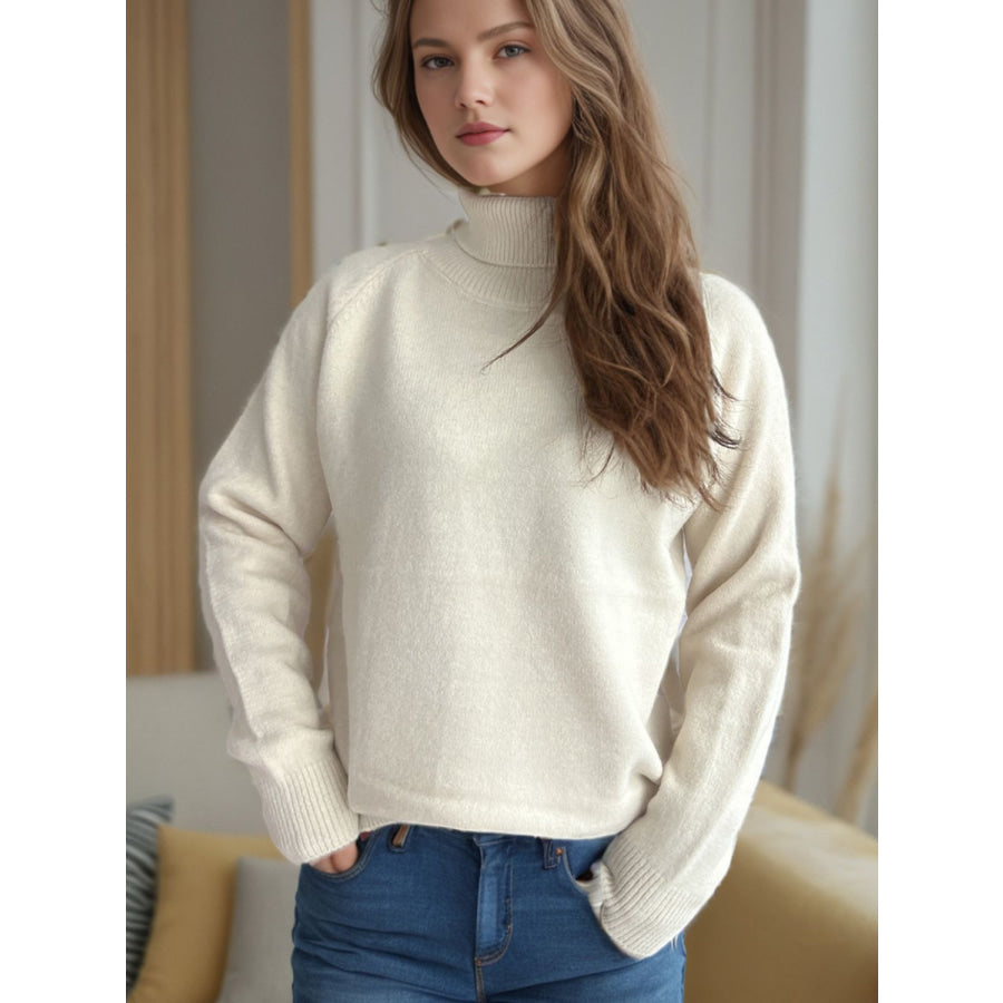 Solid Color Turtleneck Long Sleeve Sweater Apparel and Accessories