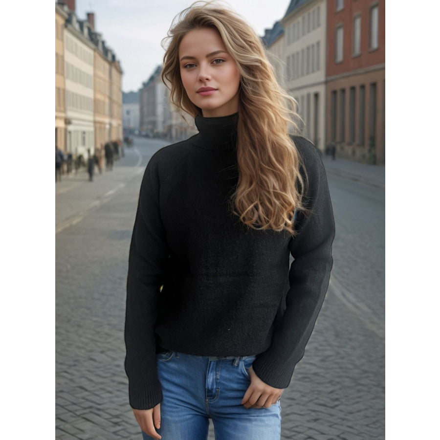 Solid Color Turtleneck Long Sleeve Sweater Black / One Size Apparel and Accessories