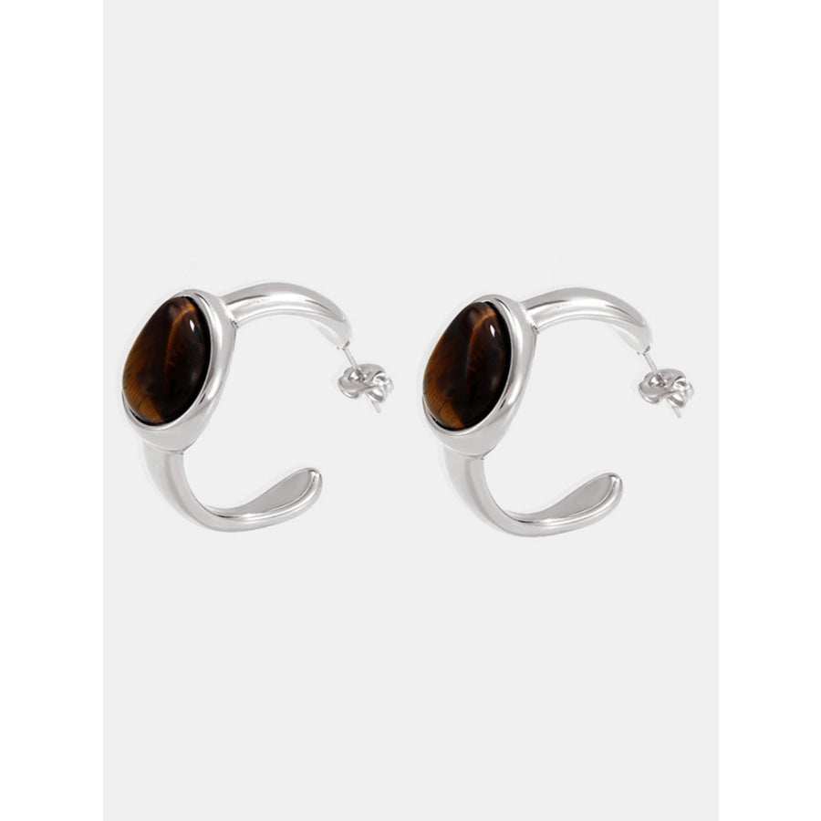 Stainless Steel Tigerite Ring and C-Hoop Earrings Set Apparel and Accessories