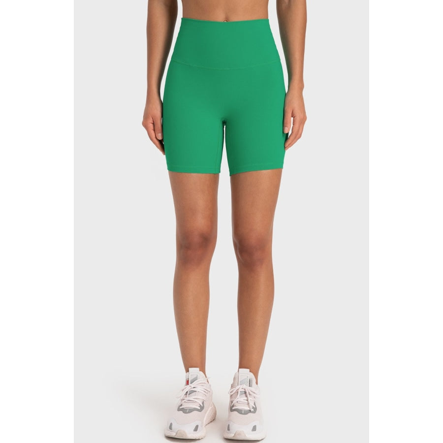 Staying Cozy Wide Waistband Biker Shorts Mid Green / 4