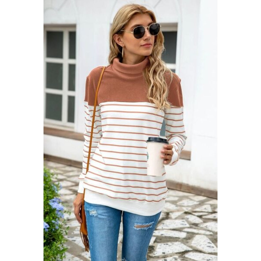 Striped Contrast Turtleneck Sweater Clothing