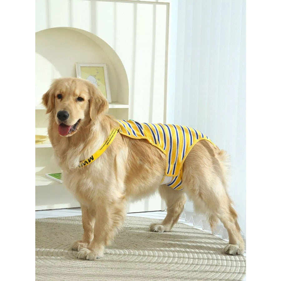 Striped Physiological Pet Functional Clothing Gold / S Apparel and Accessories