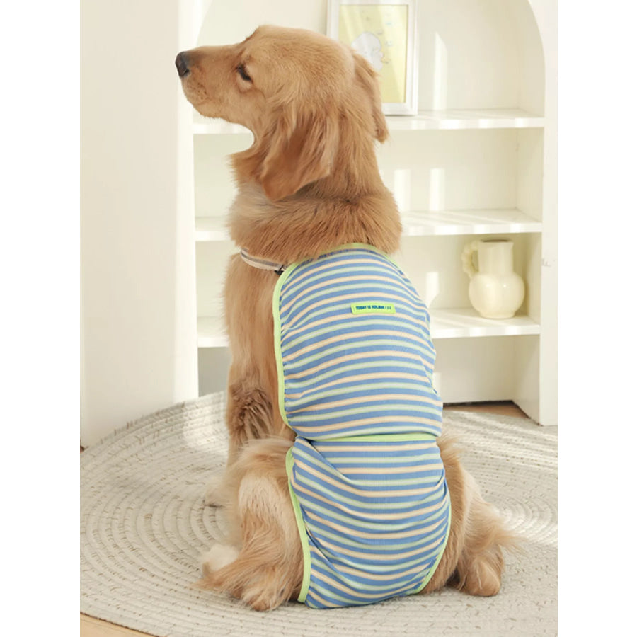 Striped Physiological Pet Functional Clothing Sky Blue / S Apparel and Accessories