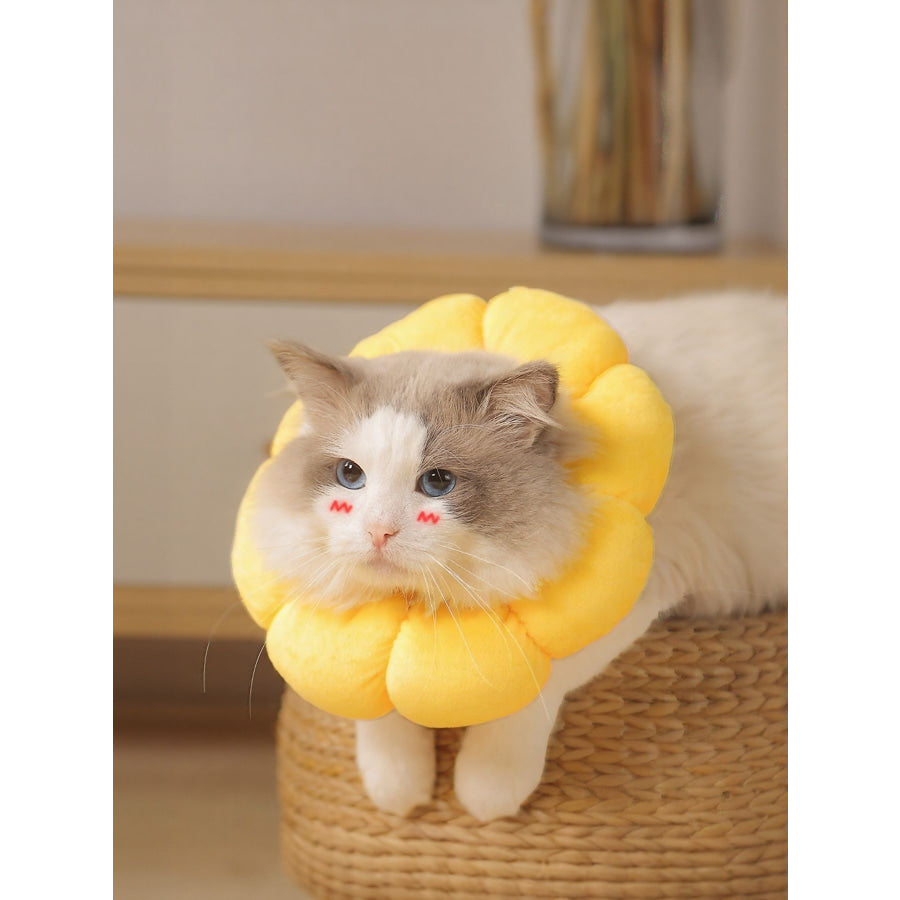 Sunflower Protective Pet Collar Apparel and Accessories