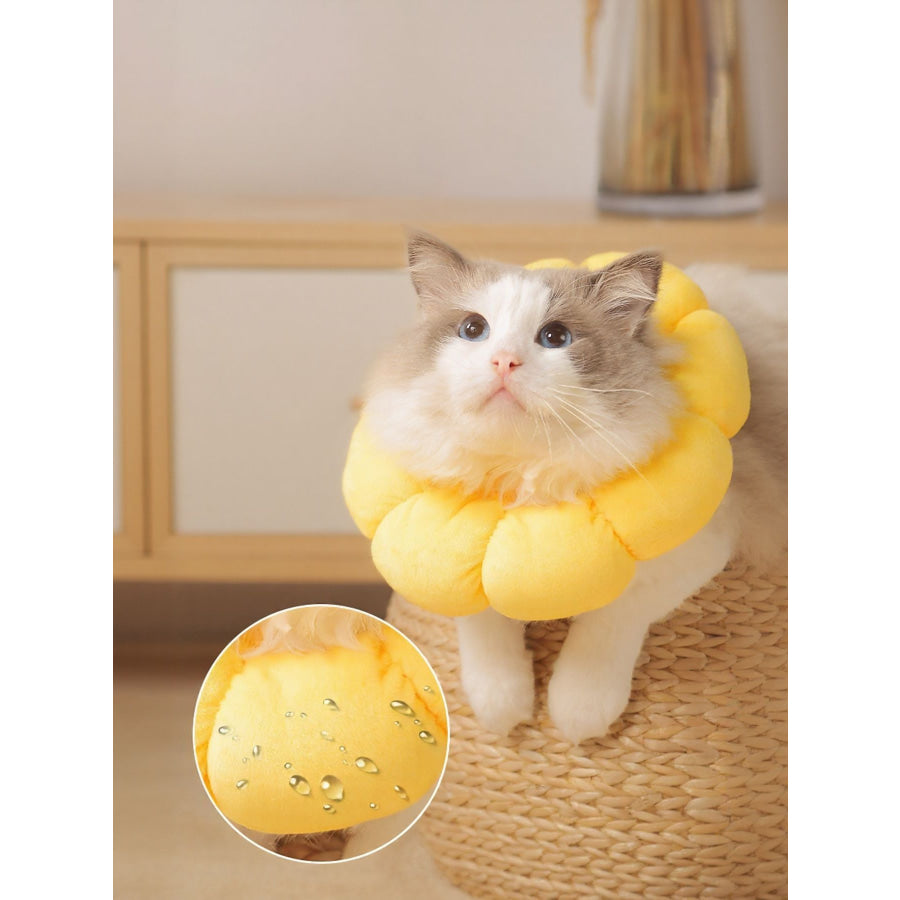 Sunflower Protective Pet Collar Yellow Sunflower / XS Apparel and Accessories