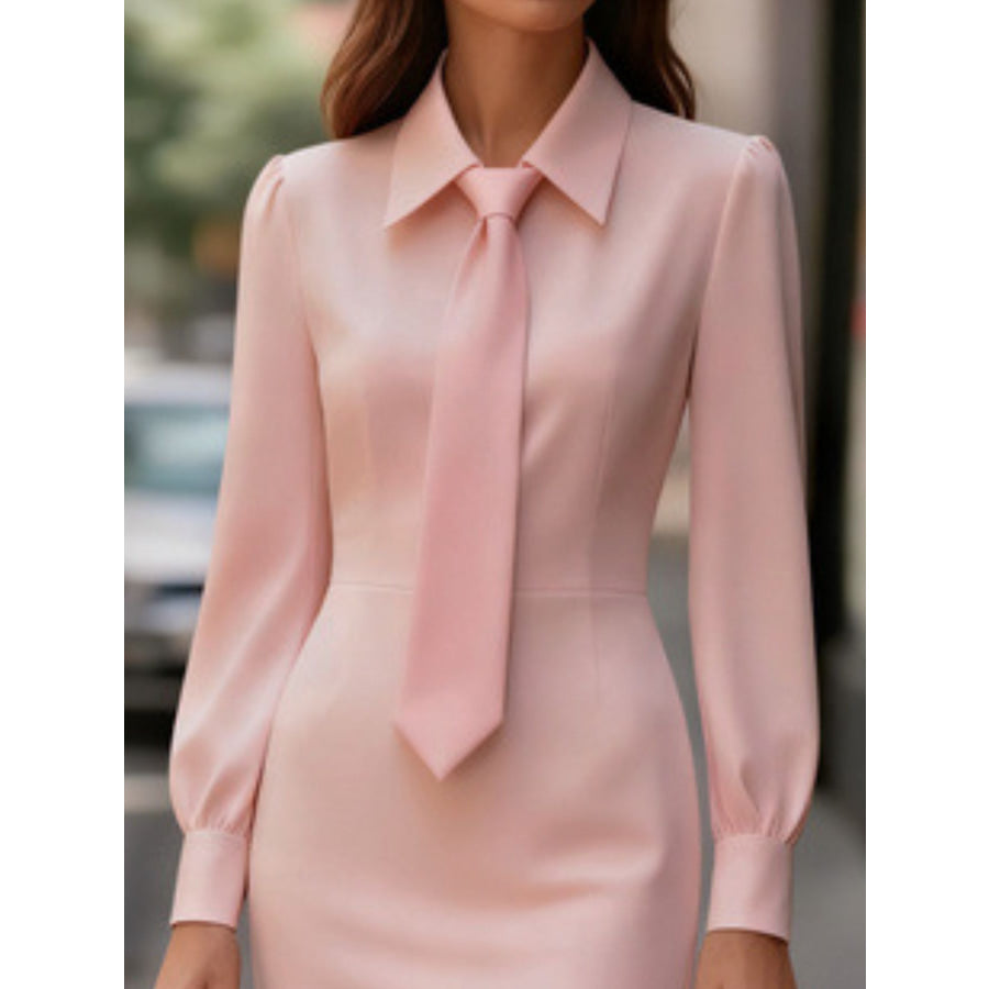 Tie-Neck Long Sleeve Dress Apparel and Accessories