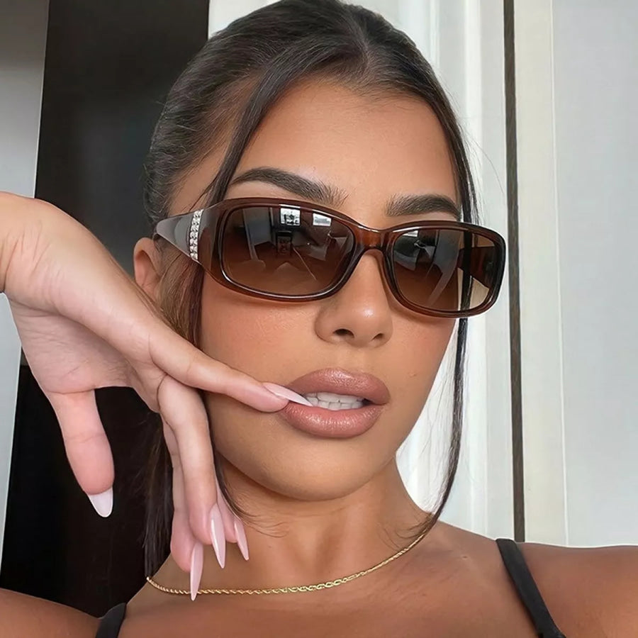 Tinted Lenses Sunglasses Dark Brown / One Size Apparel and Accessories