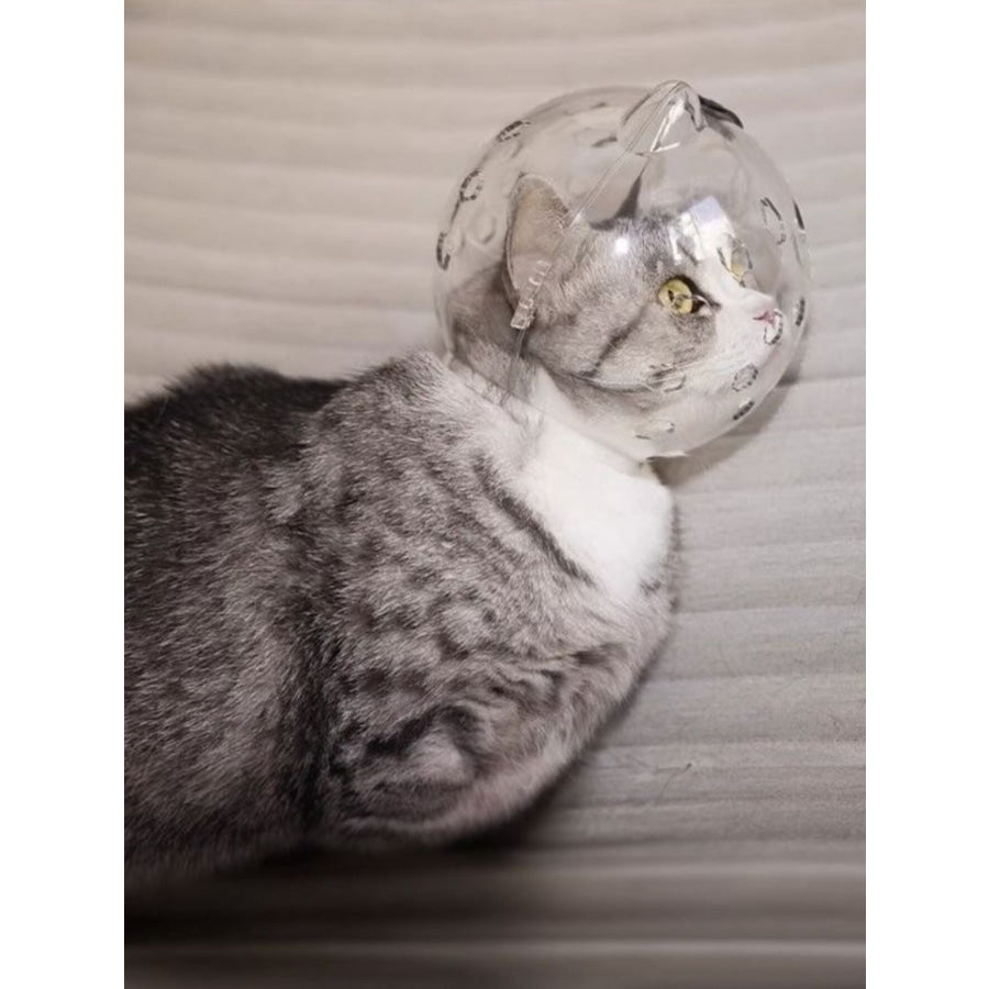 Transparent Anti-Bite Pet Spherical Head Cover Apparel and Accessories