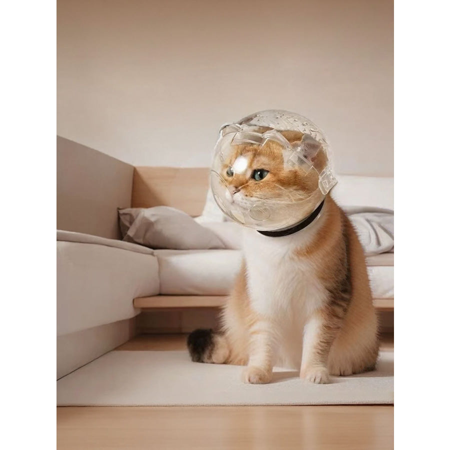 Transparent Anti-Bite Pet Spherical Head Cover Transparent / M Apparel and Accessories