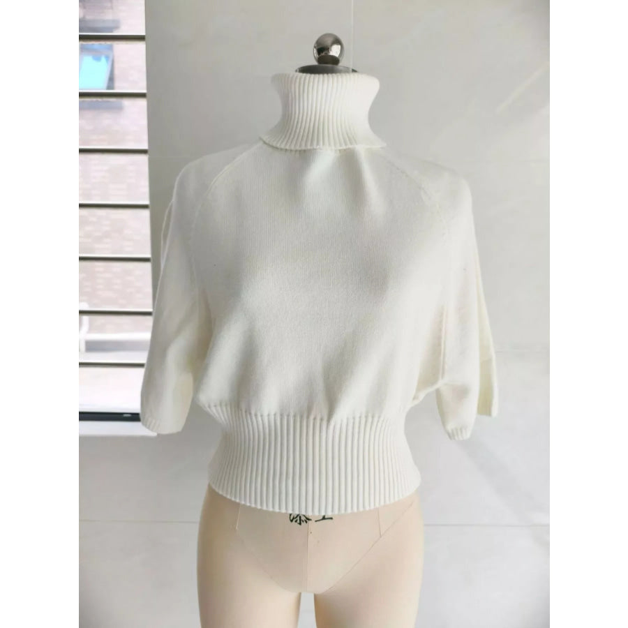 Turtleneck Batwing Sleeve Sweater Apparel and Accessories