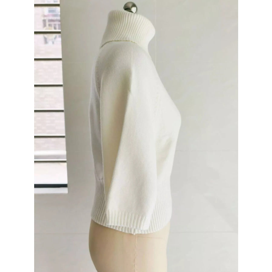Turtleneck Batwing Sleeve Sweater Apparel and Accessories