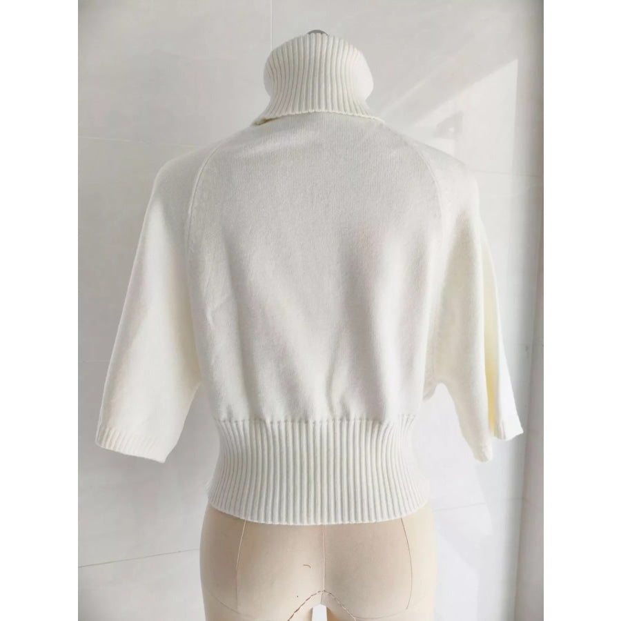 Turtleneck Batwing Sleeve Sweater Apparel and Accessories