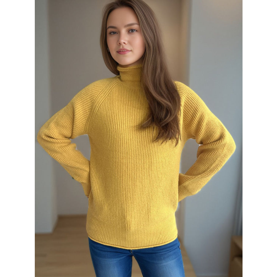 Turtleneck Long Sleeve Sweater Apparel and Accessories