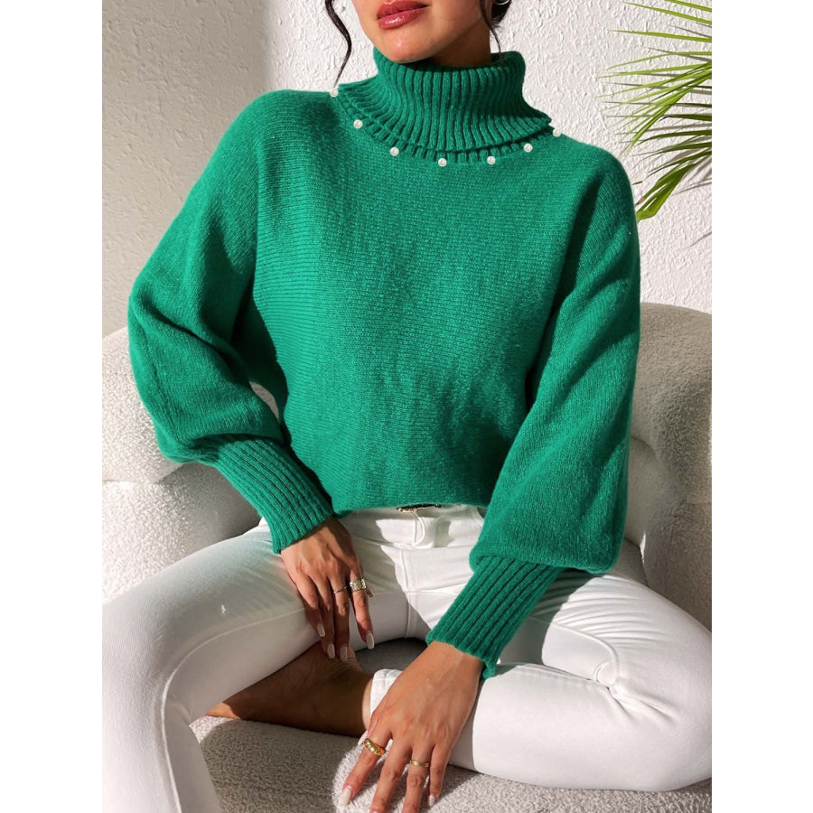 Turtleneck Long Sleeve Sweater Apparel and Accessories