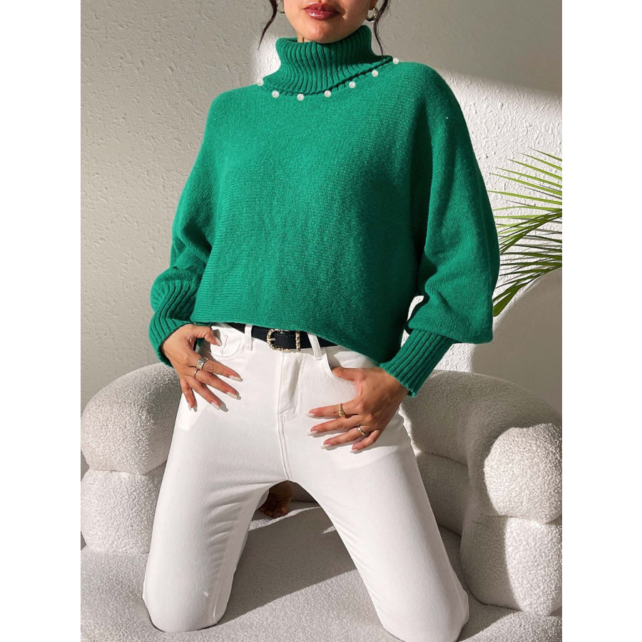 Turtleneck Long Sleeve Sweater Apparel and Accessories