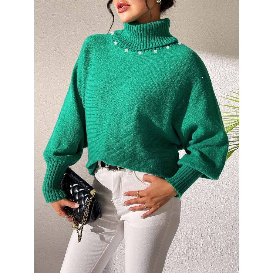 Turtleneck Long Sleeve Sweater Apparel and Accessories