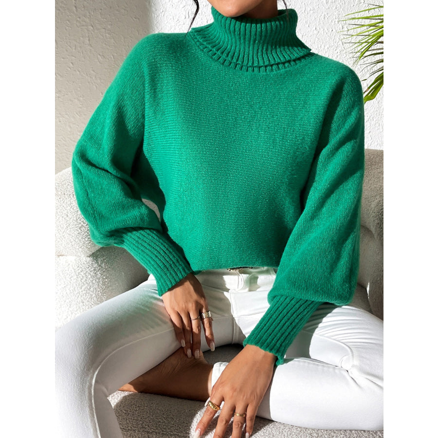 Turtleneck Long Sleeve Sweater Apparel and Accessories