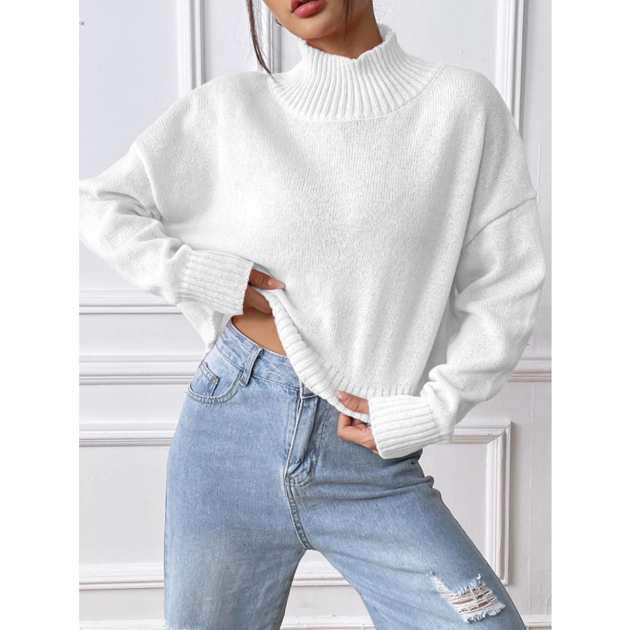 Turtleneck Long Sleeve Sweater Apparel and Accessories