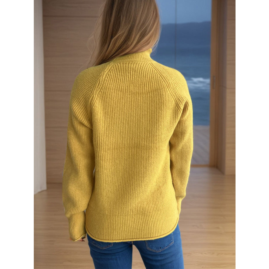Turtleneck Long Sleeve Sweater Apparel and Accessories
