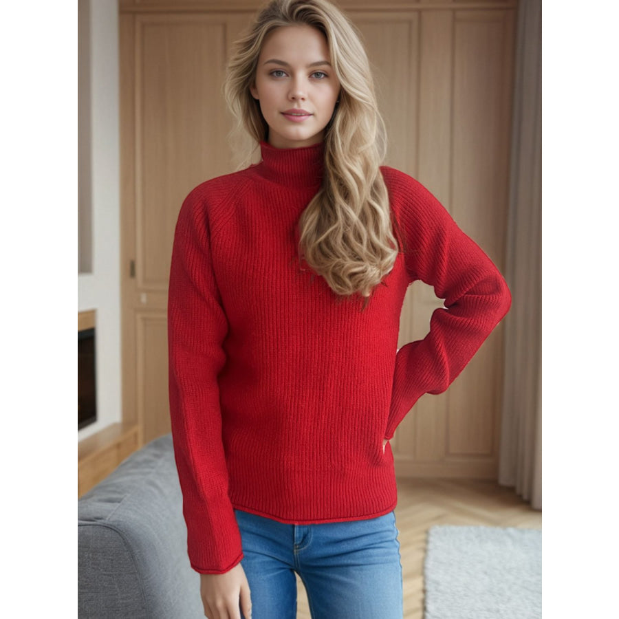Turtleneck Long Sleeve Sweater Apparel and Accessories