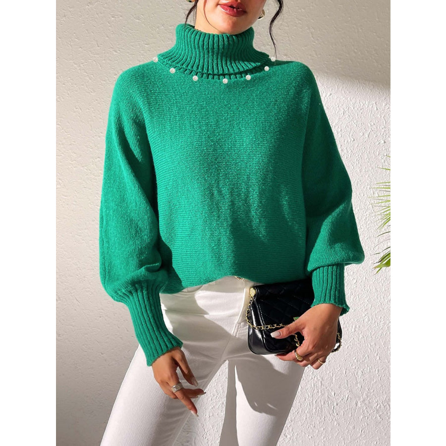 Turtleneck Long Sleeve Sweater Apparel and Accessories