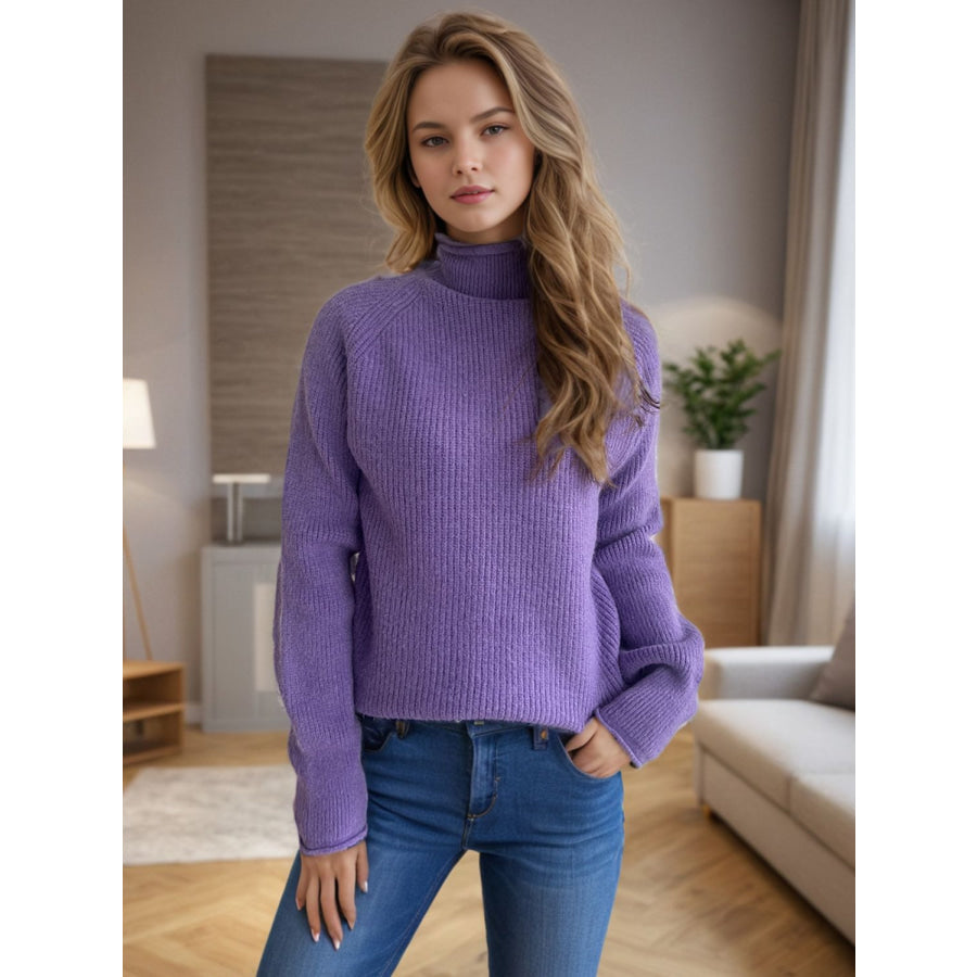 Turtleneck Long Sleeve Sweater Apparel and Accessories