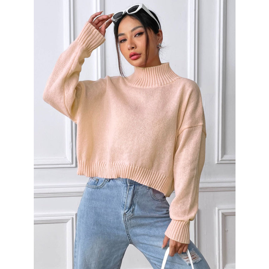 Turtleneck Long Sleeve Sweater Apparel and Accessories