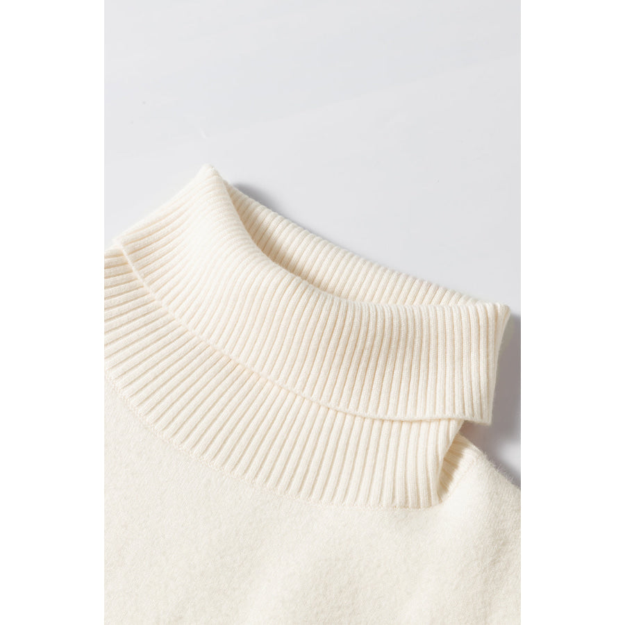 Turtleneck Long Sleeve Sweater Apparel and Accessories