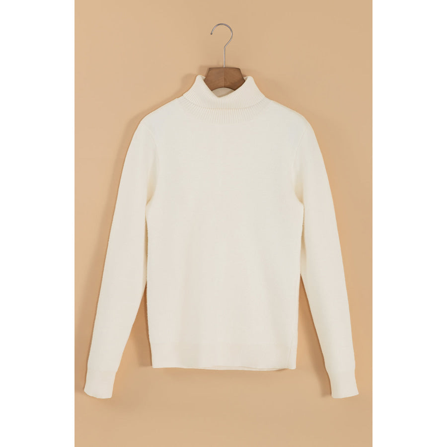 Turtleneck Long Sleeve Sweater Apparel and Accessories