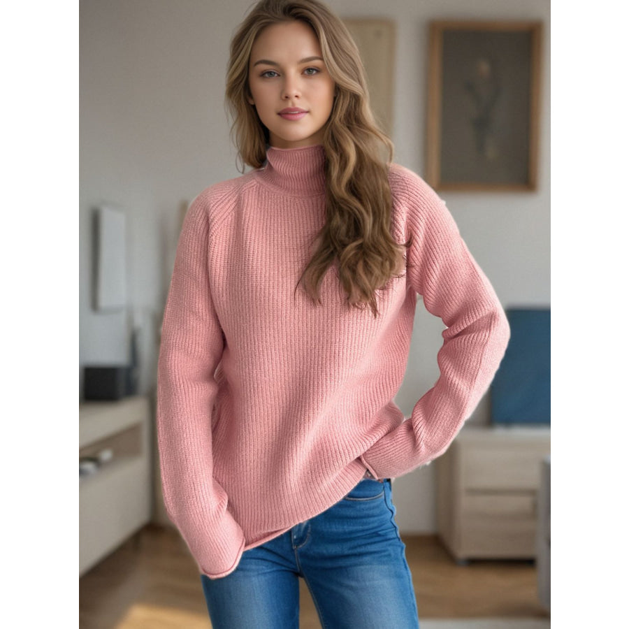 Turtleneck Long Sleeve Sweater Apparel and Accessories