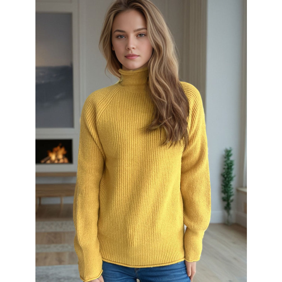 Turtleneck Long Sleeve Sweater Apparel and Accessories