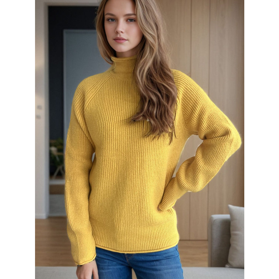 Turtleneck Long Sleeve Sweater Apparel and Accessories
