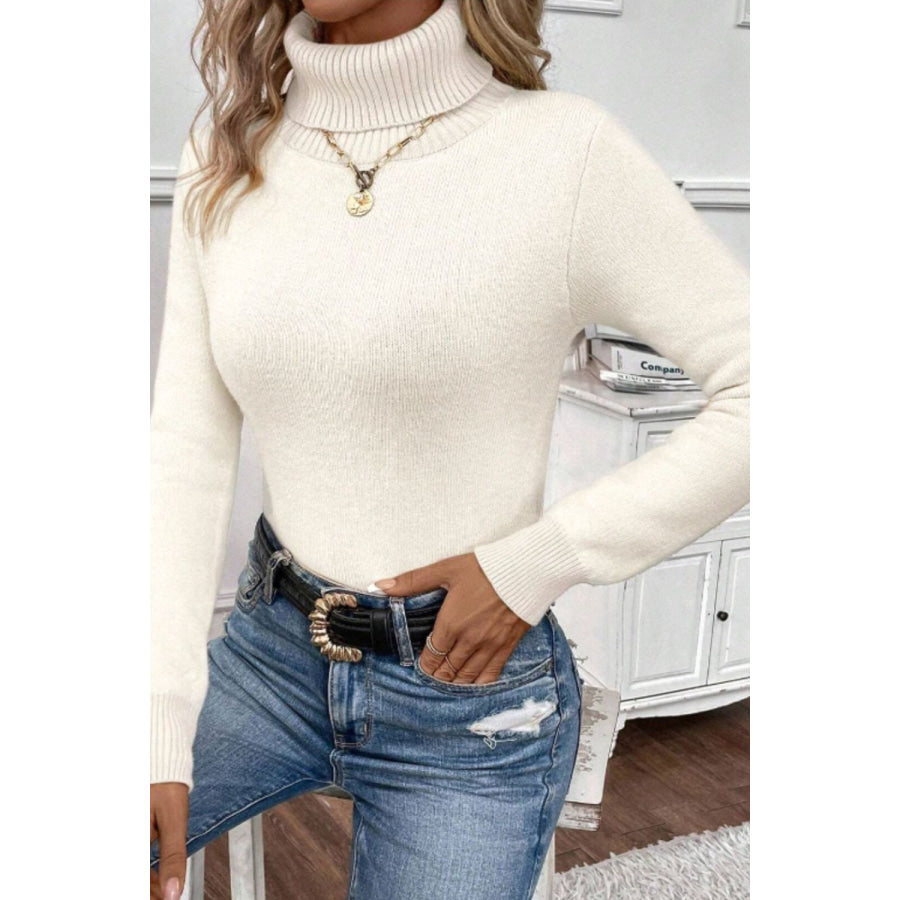 Turtleneck Long Sleeve Sweater Ivory / S Apparel and Accessories