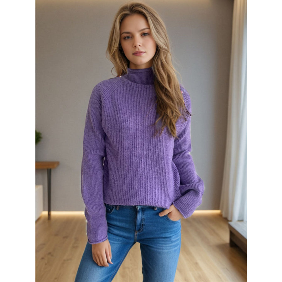 Turtleneck Long Sleeve Sweater Lavender / One Size Apparel and Accessories