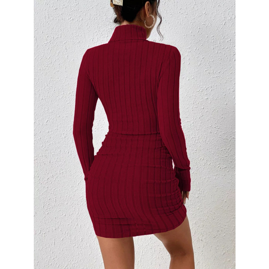 Turtleneck Ribbed Bodycon Knit Dress Apparel and Accessories