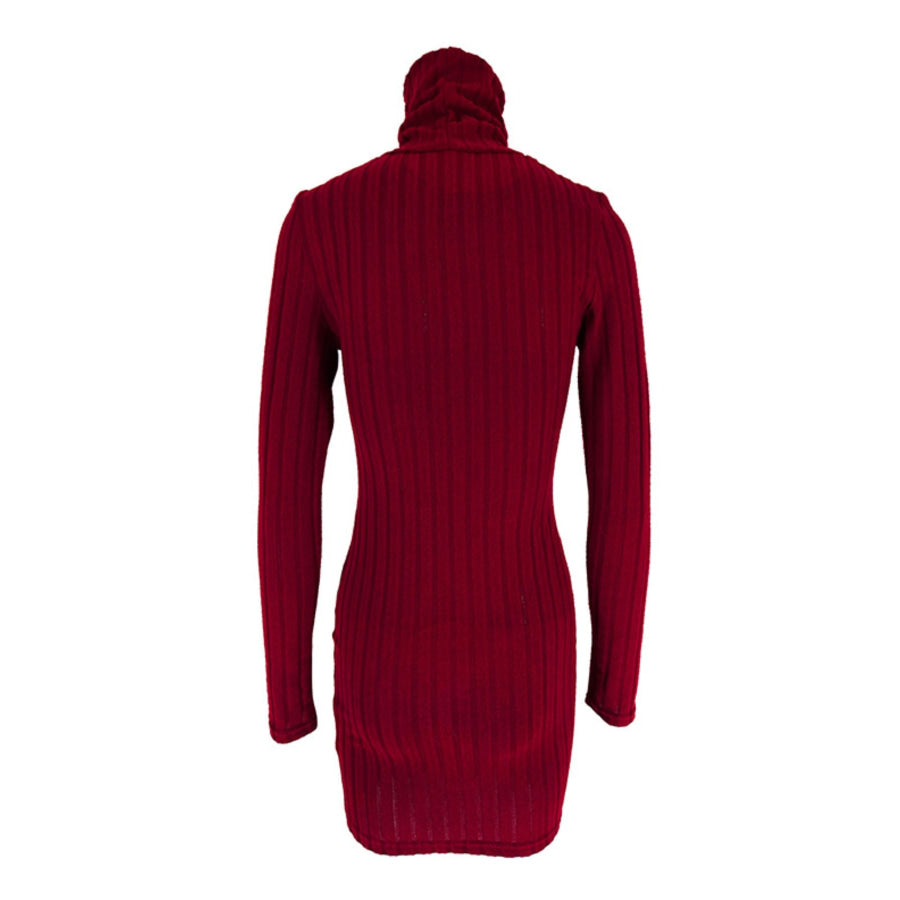 Turtleneck Ribbed Bodycon Mini Dress Apparel and Accessories