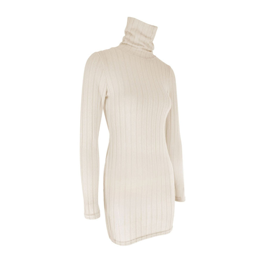 Turtleneck Ribbed Bodycon Mini Dress Apparel and Accessories
