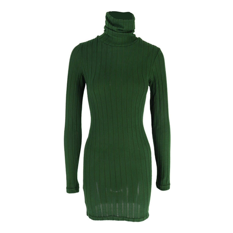 Turtleneck Ribbed Bodycon Mini Dress Apparel and Accessories