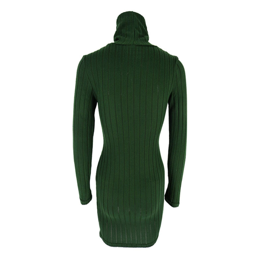 Turtleneck Ribbed Bodycon Mini Dress Apparel and Accessories